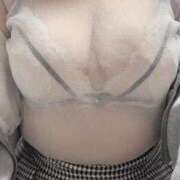 ヒメ日記 2026/03/27 15:24 投稿 こむぎ ふわふわコレクション