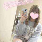 ヒメ日記 2026/03/28 14:04 投稿 こむぎ ふわふわコレクション