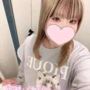 ヒメ日記 2026/03/28 15:04 投稿 こむぎ ふわふわコレクション