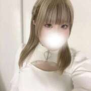 ヒメ日記 2026/03/30 16:54 投稿 こむぎ ふわふわコレクション