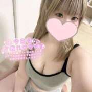 ヒメ日記 2026/03/31 12:16 投稿 こむぎ ふわふわコレクション