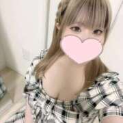 ヒメ日記 2026/03/31 14:24 投稿 こむぎ ふわふわコレクション