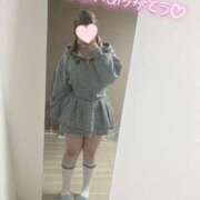 ヒメ日記 2026/04/01 19:24 投稿 こむぎ ふわふわコレクション