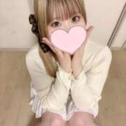 ヒメ日記 2026/04/19 12:14 投稿 こむぎ ふわふわコレクション
