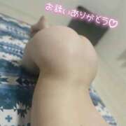 ヒメ日記 2026/04/19 14:38 投稿 こむぎ ふわふわコレクション