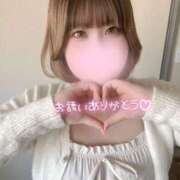ヒメ日記 2026/10/13 00:14 投稿 こむぎ ふわふわコレクション