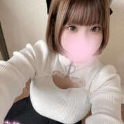 ヒメ日記 2026/10/20 16:04 投稿 こむぎ ふわふわコレクション