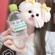 ヒメ日記 2026/04/09 21:04 投稿 及川 みく イマジン東京