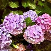 ヒメ日記 2026/06/22 14:39 投稿 みおと ハピネス水戸