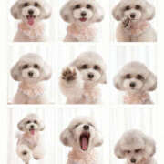 ヒメ日記 2026/01/26 18:12 投稿 心愛 フロンティア