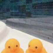 ヒメ日記 2025/09/04 19:15 投稿 ゆず 奥様鉄道69 東京店