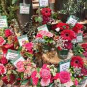 ヒメ日記 2025/12/22 11:45 投稿 ゆず 奥様鉄道69 東京店