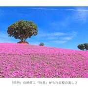 ヒメ日記 2025/08/07 08:55 投稿 流川【るかわ】 人妻日和(久喜)