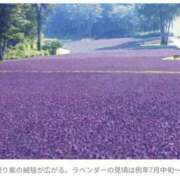 ヒメ日記 2025/08/11 06:50 投稿 流川【るかわ】 人妻日和(久喜)