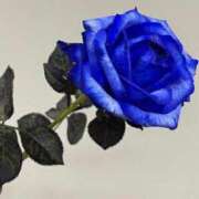 ヒメ日記 2025/08/11 16:33 投稿 流川【るかわ】 人妻日和(久喜)