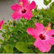 ヒメ日記 2025/08/18 08:12 投稿 流川【るかわ】 人妻日和(久喜)