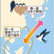 ヒメ日記 2025/08/20 10:30 投稿 流川【るかわ】 人妻日和(久喜)