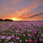 ヒメ日記 2025/09/30 11:16 投稿 流川【るかわ】 人妻日和(久喜)