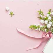 ヒメ日記 2025/10/09 06:40 投稿 流川【るかわ】 人妻日和(久喜)