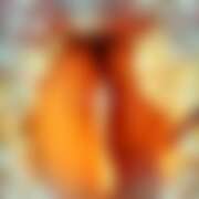 ヒメ日記 2025/12/07 21:36 投稿 流川【るかわ】 人妻日和(久喜)