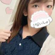 ヒメ日記 2025/11/14 11:54 投稿 ことの 新橋・汐留人妻ヒットパレード（シンデレラグループ）