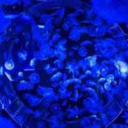 ヒメ日記 2025/08/02 17:32 投稿 なお 錦糸町人妻セレブリティ（ユメオト）