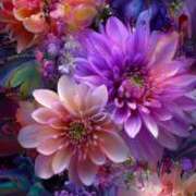 ヒメ日記 2025/11/08 09:13 投稿 なお 錦糸町人妻セレブリティ（ユメオト）