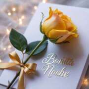 ヒメ日記 2026/01/12 17:55 投稿 なお 錦糸町人妻セレブリティ（ユメオト）