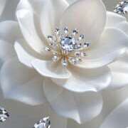 ヒメ日記 2026/01/21 18:45 投稿 なお 錦糸町人妻セレブリティ（ユメオト）