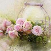 ヒメ日記 2025/08/11 11:56 投稿 夏乃はな 五十路マダム 岐阜店