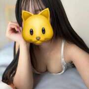 ヒメ日記 2025/09/29 15:35 投稿 せりか きらめけ！にゃんにゃん学園in大宮