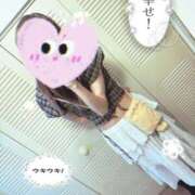 ヒメ日記 2025/10/12 14:39 投稿 NHはやて サマンサ(和歌山)