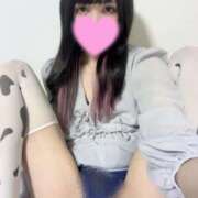 ヒメ日記 2025/10/12 21:02 投稿 NHはやて サマンサ(和歌山)