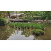 ヒメ日記 2025/09/16 10:00 投稿 ゆりえ 東京人妻セレブリティ（ユメオト）