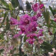 ヒメ日記 2025/10/02 15:00 投稿 ゆりえ 東京人妻セレブリティ（ユメオト）