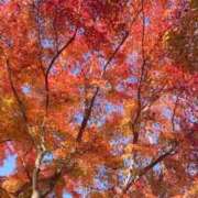 ゆりえ 出勤してます❤︎ 東京人妻セレブリティ（ユメオト）