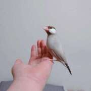 ヒメ日記 2025/08/12 18:05 投稿 まゆら ぽっちゃり巨乳専門店 町田相模原ちゃんこ