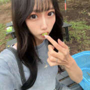 ヒメ日記 2025/08/15 09:30 投稿 その 姫コレクション