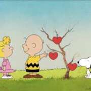 ヒメ日記 2025/08/16 07:55 投稿 その 姫コレクション