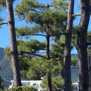 ヒメ日記 2025/10/16 17:59 投稿 ゆうり 完熟ばなな 谷九店