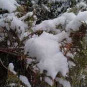 ヒメ日記 2026/02/08 20:52 投稿 設楽　さくら エンジェルコースト