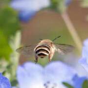 ヒメ日記 2026/04/20 10:57 投稿 設楽　さくら エンジェルコースト