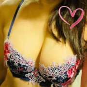 ヒメ日記 2025/09/23 10:51 投稿 横山ひろみ セクシーキャット 神田店