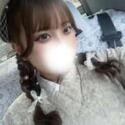 うさぎ 🩵スタートからありがとう🩵 BLUE BIRD (ブルーバード) 上越