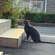 ヒメ日記 2025/08/15 13:25 投稿 やむ♡即プレイ可能♡ Q-STORY