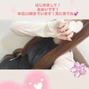 ヒメ日記 2025/08/02 19:05 投稿 あおい S級しろうと娘