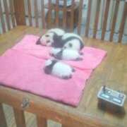 ヒメ日記 2025/10/19 12:40 投稿 ゆうき ニューヨークニューヨーク