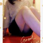 ヒメ日記 2025/11/13 09:05 投稿 ゆうき ニューヨークニューヨーク