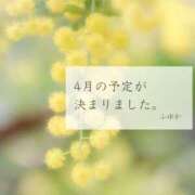 ヒメ日記 2026/03/16 12:08 投稿 ふゆか 東京アロマスタイル