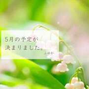 ヒメ日記 2026/04/15 21:28 投稿 ふゆか 東京アロマスタイル